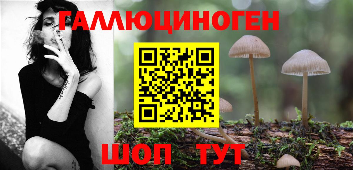 Галлюциногенные грибы мицелий Красноярск